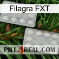 Filagra FXT 17